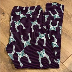 Lularoe TC crazy cats leggings
